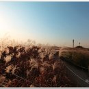 하늘공원 이미지