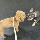 멍스가든 이미지