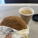 헤이디포트 | 호주 포트스테판 투어 솔직후기(100점 만점에 100점)