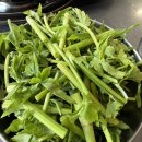 이문제일시장 이미지