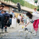 강아지 사랑 이미지