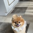 빛날시간 이미지