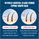 헤어큐 이미지