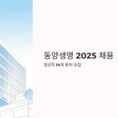동양개발(주) | 동양생명 채용 2025, 정규직 14개 분야 모집 중 (연봉, 복지, 면접까지 총정리)