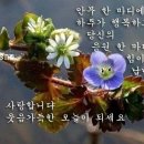 어은돌야영장 이미지