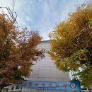 중동시장 버스정류장 옆 이미지