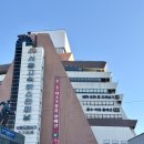 시장터미널 | 반포: 고속터미널 꽃시장, 크리스마스 오너먼트 구매후기!