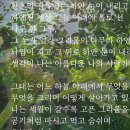 사랑의 향기 / 작가 미상(고스트 라이더) 이미지