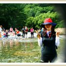 [신입대환영]7월16일(토) 아침가리골 계곡 트레킹 여름최고의 대한민국 1위 물위로 걸어가는 자연이 숨쉬는 오지여행 이미지