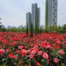 어울근린공원 이미지