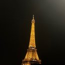 다시 셰익스피어와 만나다 | [파리] 야경 명소 투어 스냅사진 ‘데이트립’ 내돈내산 후기