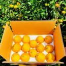 수완농장 이미지