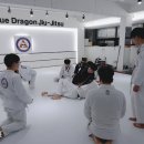 합기도 주짓수 블루드래곤 이미지