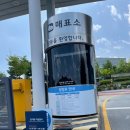 부산국제승마장 이미지