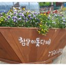 참살이달성농장 Daum카페