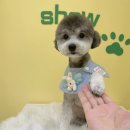 쇼미더멍 이미지