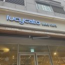 루시카토 베이크 카페 현대백화점 충청점 | 목동맛집 목동브런치 루시카토 + 카페 키츠네