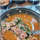 오리사냥 이미지