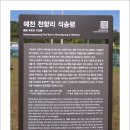 천연기념물 제 294호 ( 예천 석송령) 이미지