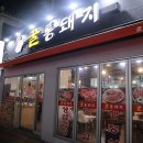 꿀통돼지 이미지