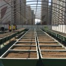 화명1동-7 이미지