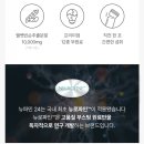 뉴로파인 | 일상 집중력이 필요할 때 간편하게 비아벨로 뉴파민24 식물성 도파민