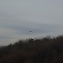 딱!여그서 이미지