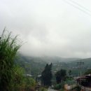 다상농장 이미지