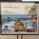 성성자이마트