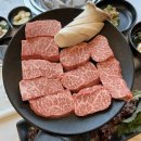 이동간받이경주용황점