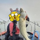 목포갈치낚시로 최고였던 &#34;목포신세계갈치낚시&#34; 찐 만족후기!!