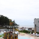 통나무아일랜드 이미지