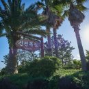 바다목장식당 이미지