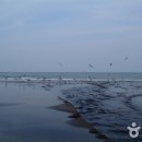 삼양해변 이미지