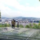 숲정원 이미지