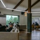 브런치앤숲 이미지