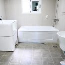 멍스타애견 이미지