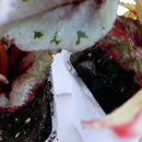 범수농장 이미지