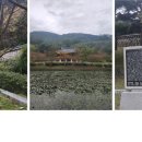 한결국제결혼 이미지