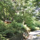 표충사매표소앞 이미지