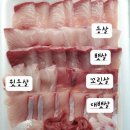 감포횟집 - 성주군 도성3길 8-4 | 감포횟집