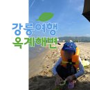 옥계해수욕장(숲) | 강릉 옥계해변 조용한 동해바다, 한국여성수련원 코앞 가족여행