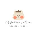 영인 | 마곡 에스테틱 영인피부 후기: 여드름관리 신부관리 복합성 문제성피부 강추
