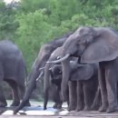 코끼리PC방 이미지