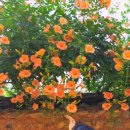 구소석길 이미지