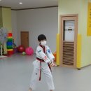 박이연태권도 네이버블로그