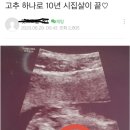 [흉자모] 딸이였으면 낙태했을건데 아들이라서 낳아요 이미지