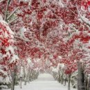 경기대로652번길 이미지