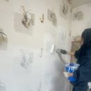 삼화빌라(내) | 셀프페인트,표선젠타일스카페,표선우동가게 내돈내산후기