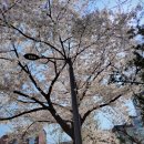 문정어린이공원 이미지